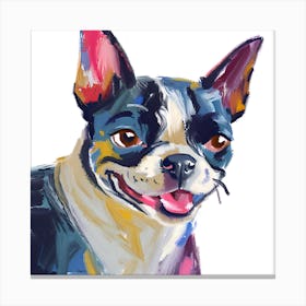Boston Terrier 03 Canvas Print