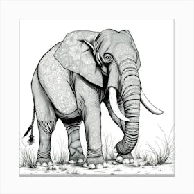 Elephant In The Grass Canvas Print