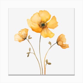 Yellow Poppy Canvas Print