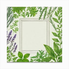 Herbs As A Frame (59) Canvas Print