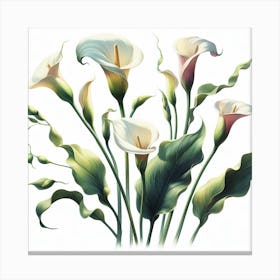 Calla lilies Canvas Print