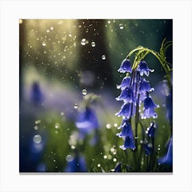 Cascading Bluebell Flowers with Raindrops Canvas Print