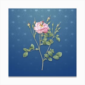 Vintage Anemone Sweetbriar Rose Botanical on Bahama Blue Pattern n.1569 Canvas Print