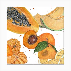 Orange Fruits 1 Canvas Print