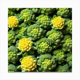Close Up Of Broccoli 19 Canvas Print