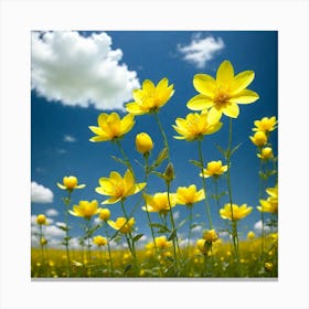 Field Of Yellow Flowers 7 Canvas Print