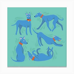 Blue and Green Sighthound Whippet Greyhound Dogs Canvas Print