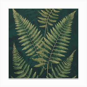 Fern Leaves 3 Canvas Print