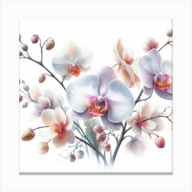 Orchid 5 Canvas Print
