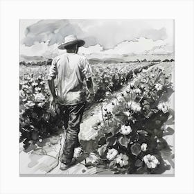 Cotton Field Canvas Print