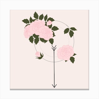 Pink Rose And Arrow Square Canvas Print