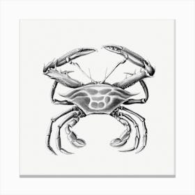 Vintage Crab, Ernst Haeckel Canvas Print