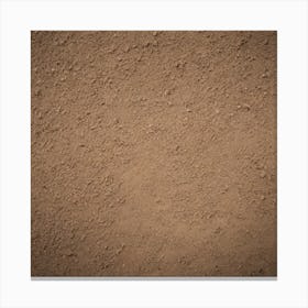 Dirt Texture Background Canvas Print