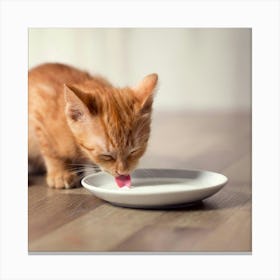 Kitten Licking A White Plate Canvas Print