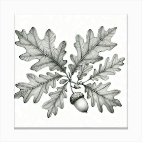 Line Art oak leaves 3 Canvas Print