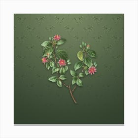 Vintage Crossberry Botanical on Lunar Green Pattern n.0901 Canvas Print