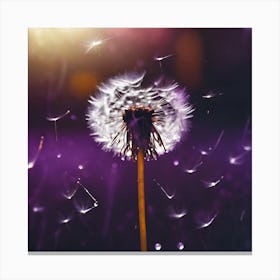 Floating White Dandelion Seeds against Purple Canvas Print