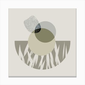 Circles In The Grass Canvas Print