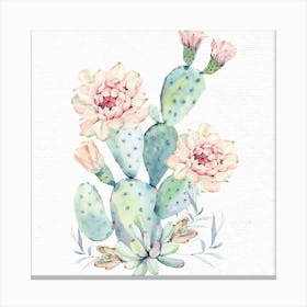 Pretty Watercolor Cactus Flowers Canvas Print