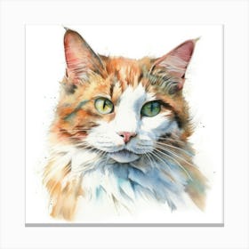 Skookum Cat Portrait 3 Canvas Print