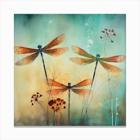 Dragonflies 14 Canvas Print