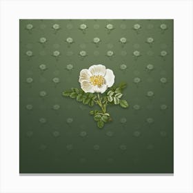 Vintage White Burnet Rose Botanical on Lunar Green Pattern n.0710 Canvas Print