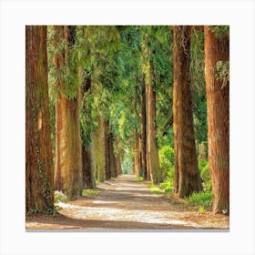 Path In A Forest Canvas Print