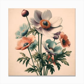 Anemones 1 Canvas Print