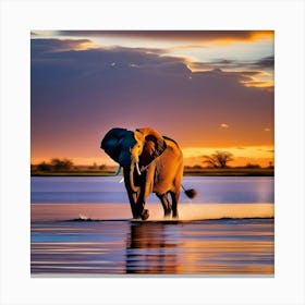 Elephant At Sunset 1 Canvas Print