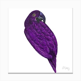 Purple Parakeet 2 Canvas Print