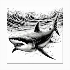 Line Art shark 1 Canvas Print