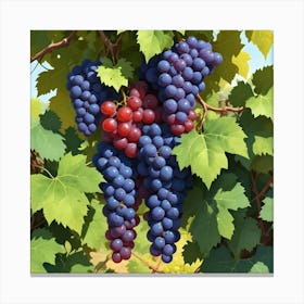 Grape Vines With Red And Blue Grapes 3 Canvas Print