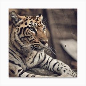 Tiger Canvas Print