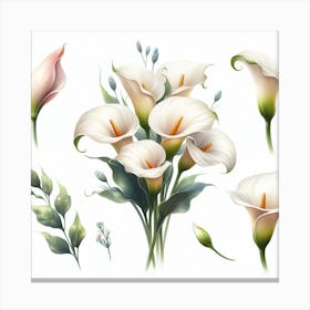 Calla lilies 3 Canvas Print