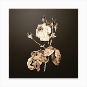 Gold Botanical Cabbage Rose on Chocolate Brown n.0546 Canvas Print