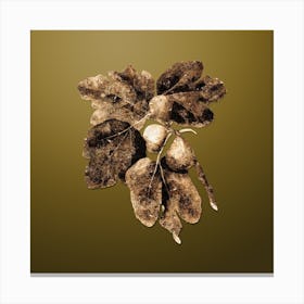 Gold Botanical Common Fig on Dune Yellow n.2087 Canvas Print