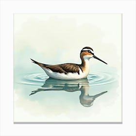 Sandpiper 7 Canvas Print