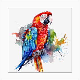 Colorful Parrot 18 Canvas Print