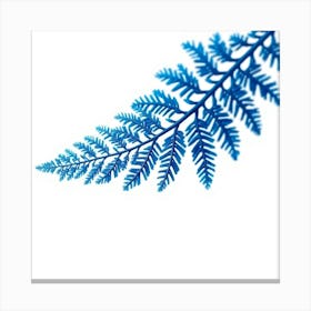 Fern Leaf Canvas Print