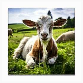 Pasture Rural Farm Goat Nature Farming Natural Countryside Animal Herd Agriculture Meadow (2) Canvas Print