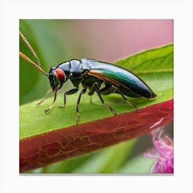 Beetle 37 Canvas Print