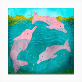 Pink Amazon River Dolphins Square Canvas Print