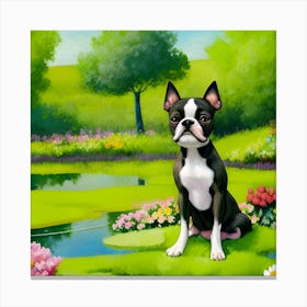 Boston Terrier 68 Canvas Print