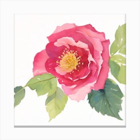 Wild Rose Painted In Watercolor 0 1 Canvas Print