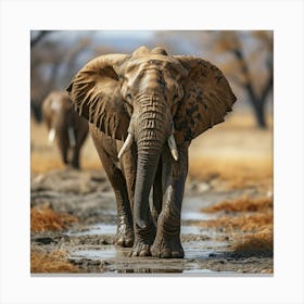 Two Elephants Walking Through A Puddle Canvas Print