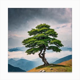 Lone Tree In The Mountains 1 Canvas Print