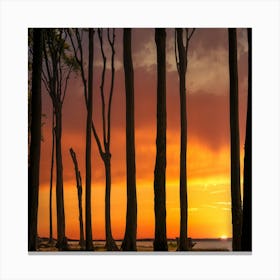 Sunset In The Trees Canvas Print
