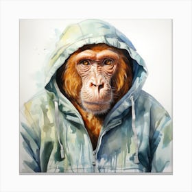 Watercolour Cartoon Proboscis Monkey In A Hoodie 1 Canvas Print