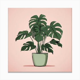 Monstera Plant, A Potted Monstera Plant With Soft Pink Leaves Set Against 3 Canvas Print