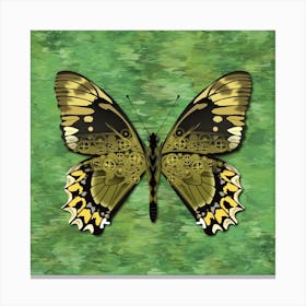 Mechanical Butterfly The Battus Madyes Tucumanus On A Green Background Canvas Print